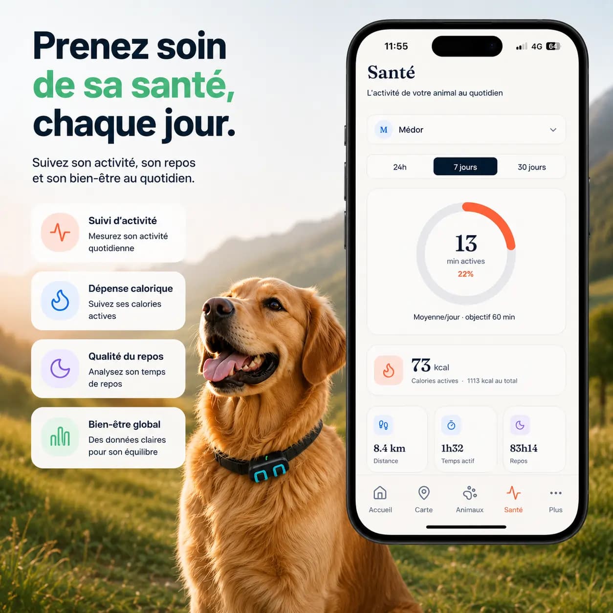 Capture d'écran de l'application en mode santé avec un chien sur la gauche